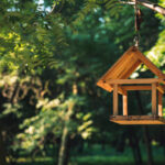 Futterhaus für Vögel